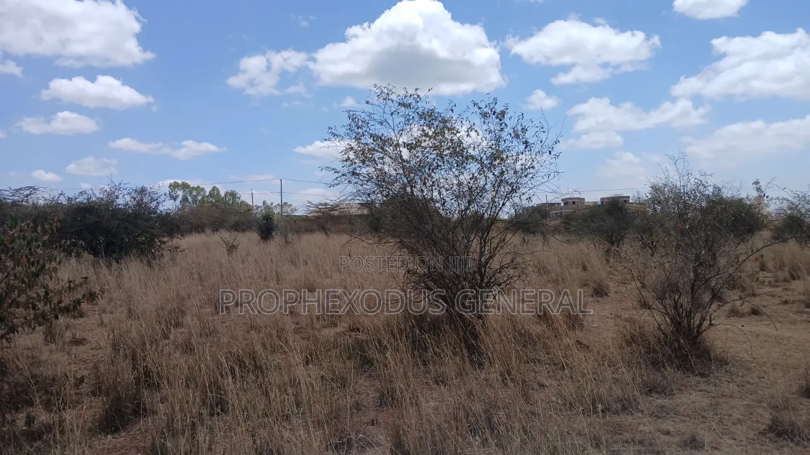 5 Acres Block for Sale Ln O/Rongai Maasi Lodge. in Maasai Lodge