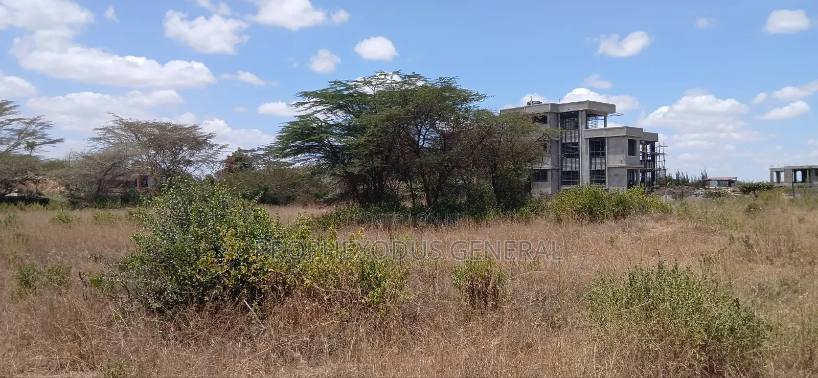 1/2 Acre Land for Sale Ln O/Rongai Maasi Lodge. in Maasai Lodge