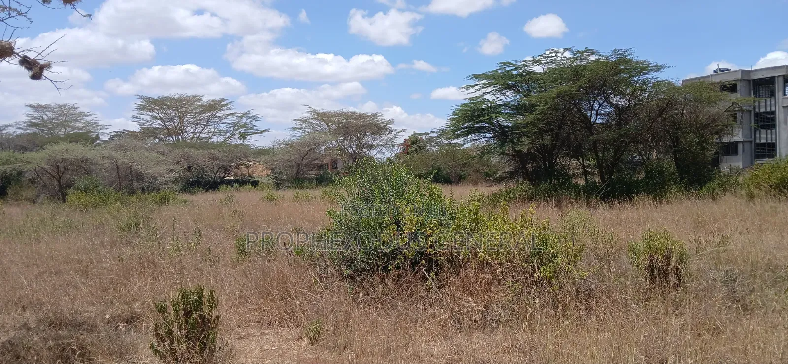 1/2 Acre Land for Sale Ln O/Rongai Maasi Lodge. in Maasai Lodge