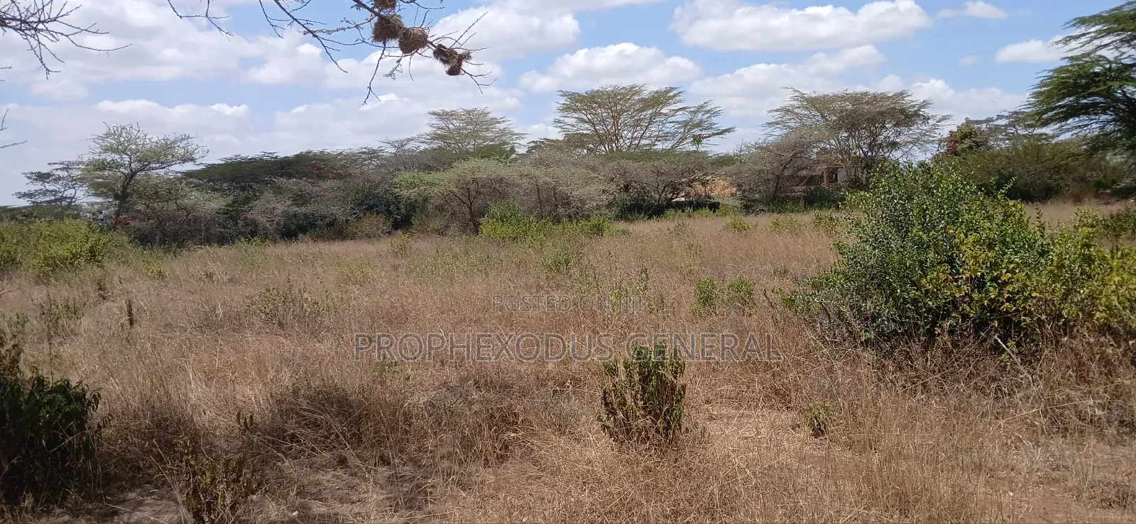1/2 Acre Land for Sale Ln O/Rongai Maasi Lodge. in Maasai Lodge