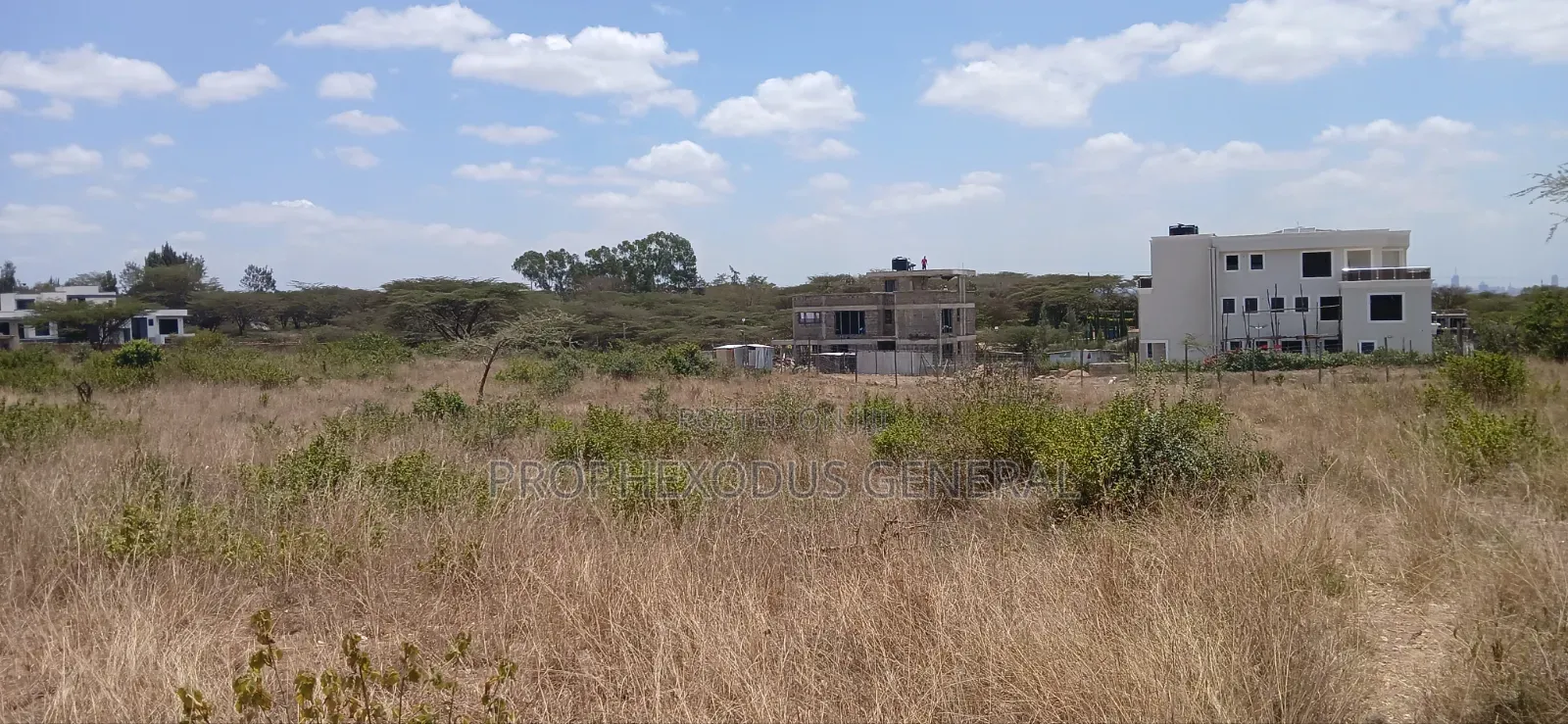 100ft by 100ft Plots for Sale Ln O/Rongai Maasi Lodge. in Maasai Lodge