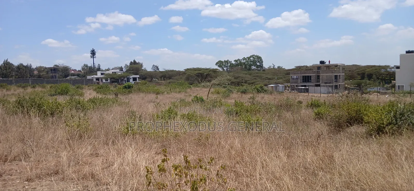 100ft by 100ft Plots for Sale Ln O/Rongai Maasi Lodge. in Maasai Lodge