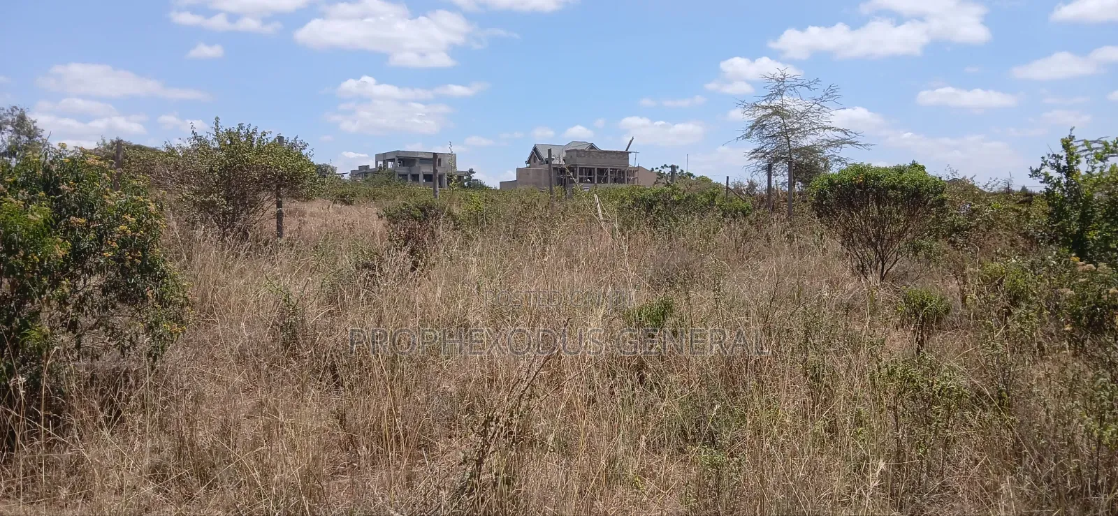 1/4 Prime Plots for Sale Ln O/Rongai Maasi Lodge.. in Maasai Lodge