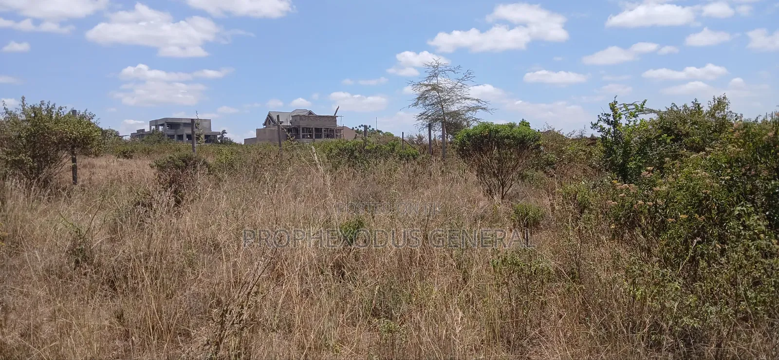1/4 Prime Plots for Sale Ln O/Rongai Maasi Lodge.. in Maasai Lodge