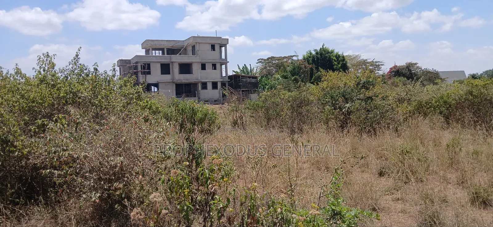 1/4 Prime Plots for Sale Ln O/Rongai Maasi Lodge.. in Maasai Lodge