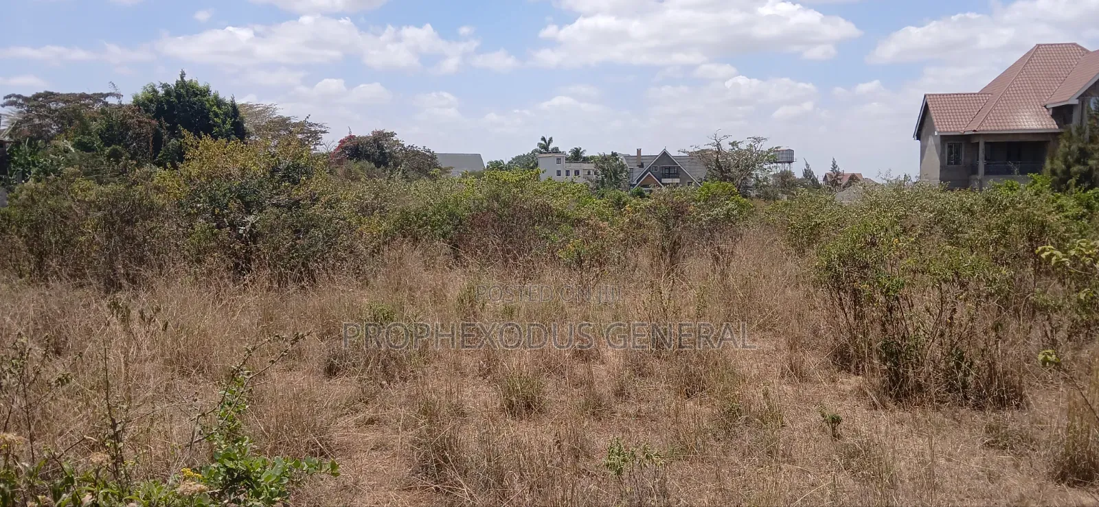1/4 Prime Plots for Sale Ln O/Rongai Maasi Lodge.. in Maasai Lodge