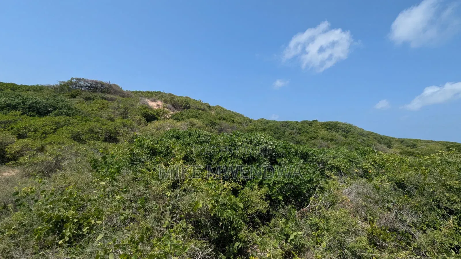 Prime Land in Hindi