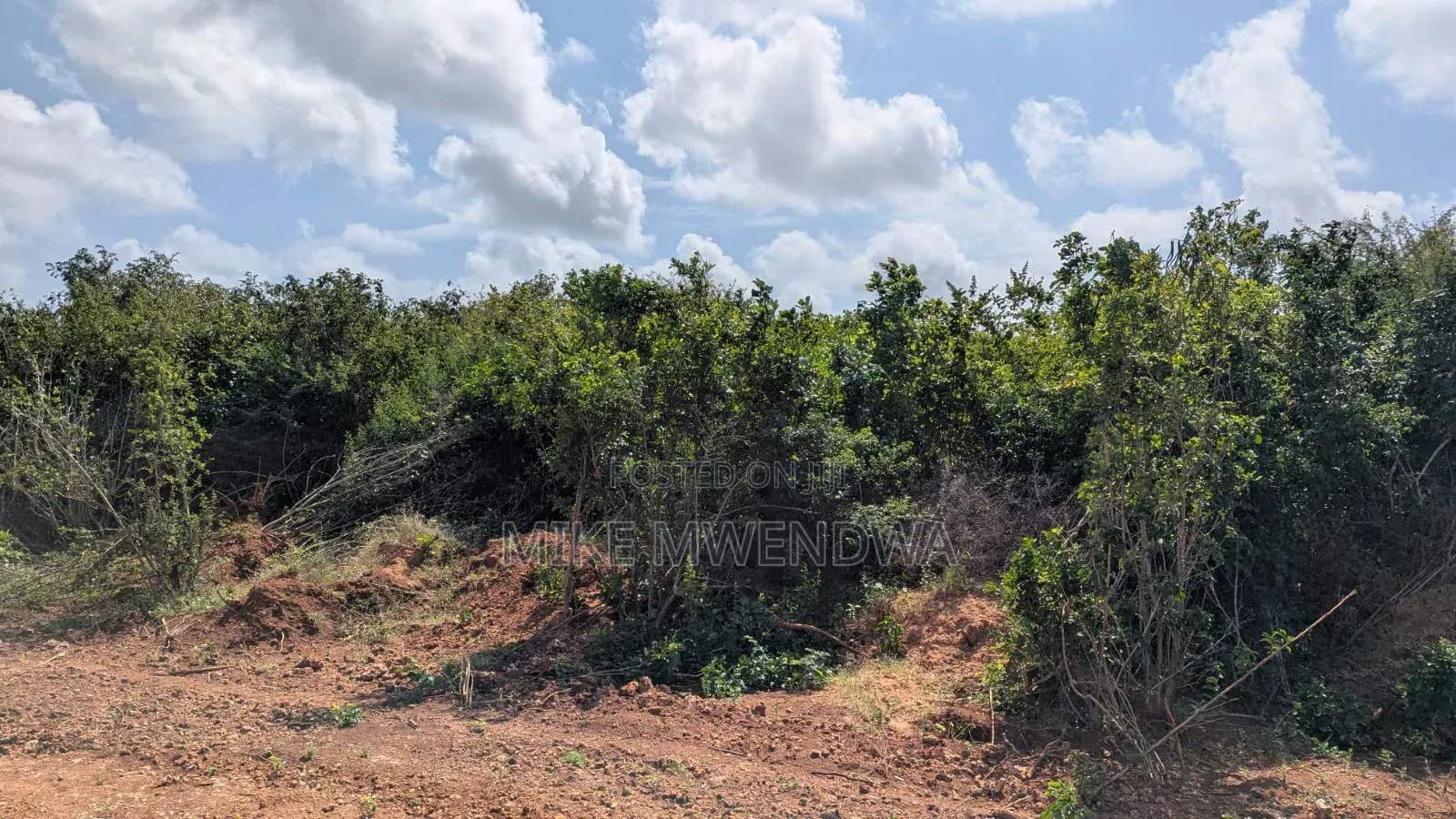 Land for Sale in Hindi