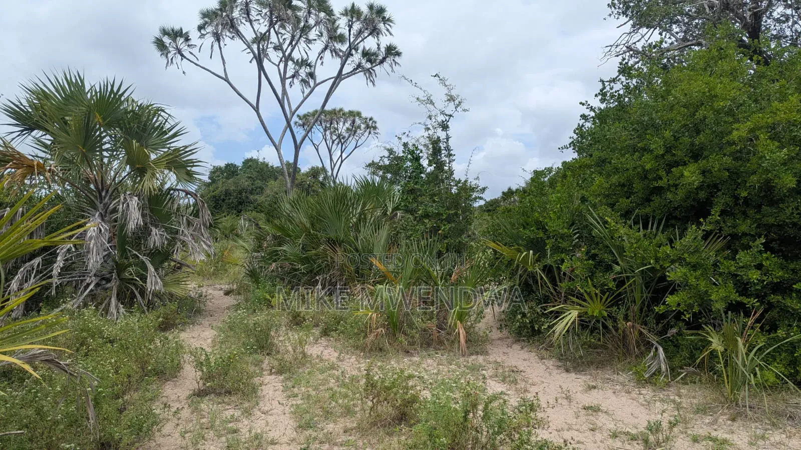Land and Plots in Witu