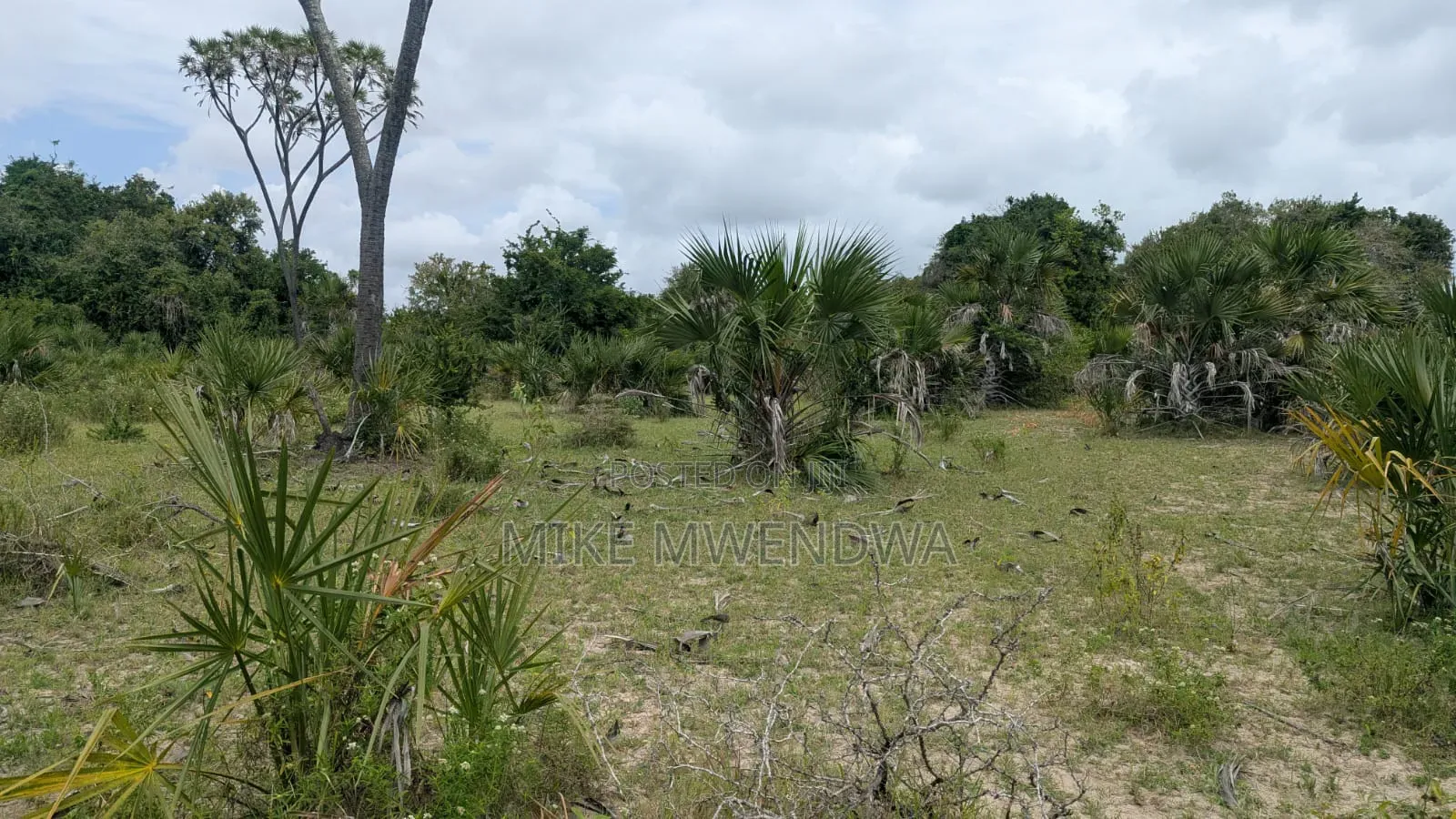 Land and Plots in Witu