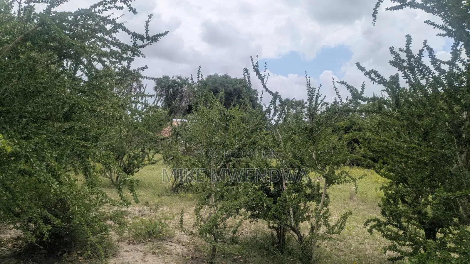 Land and Plots in Witu