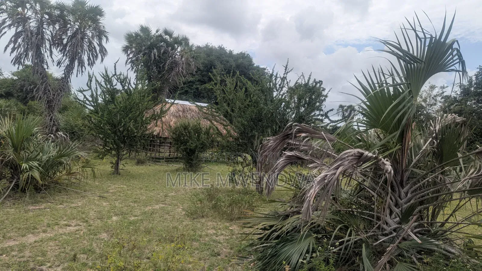 Land and Plots in Witu