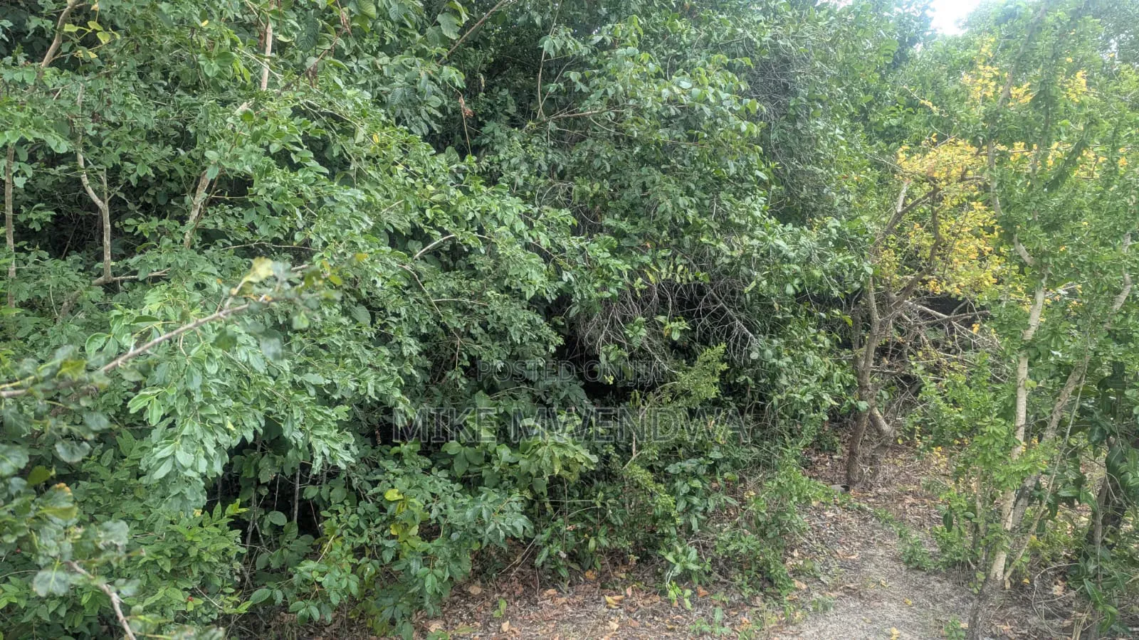 Land and Plots in Witu