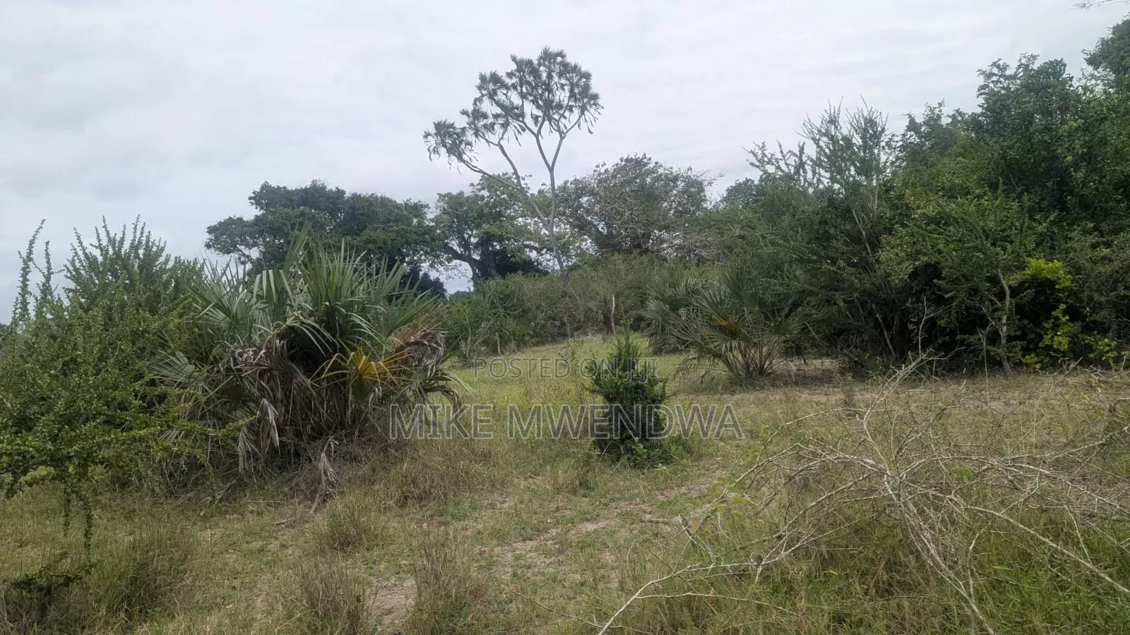 Land and Plots in Witu