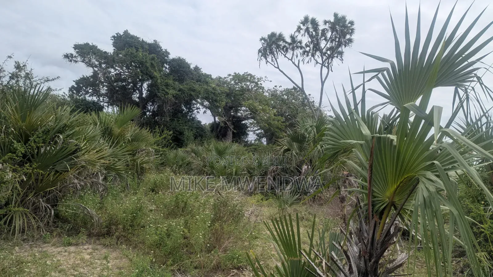 Land and Plots in Witu