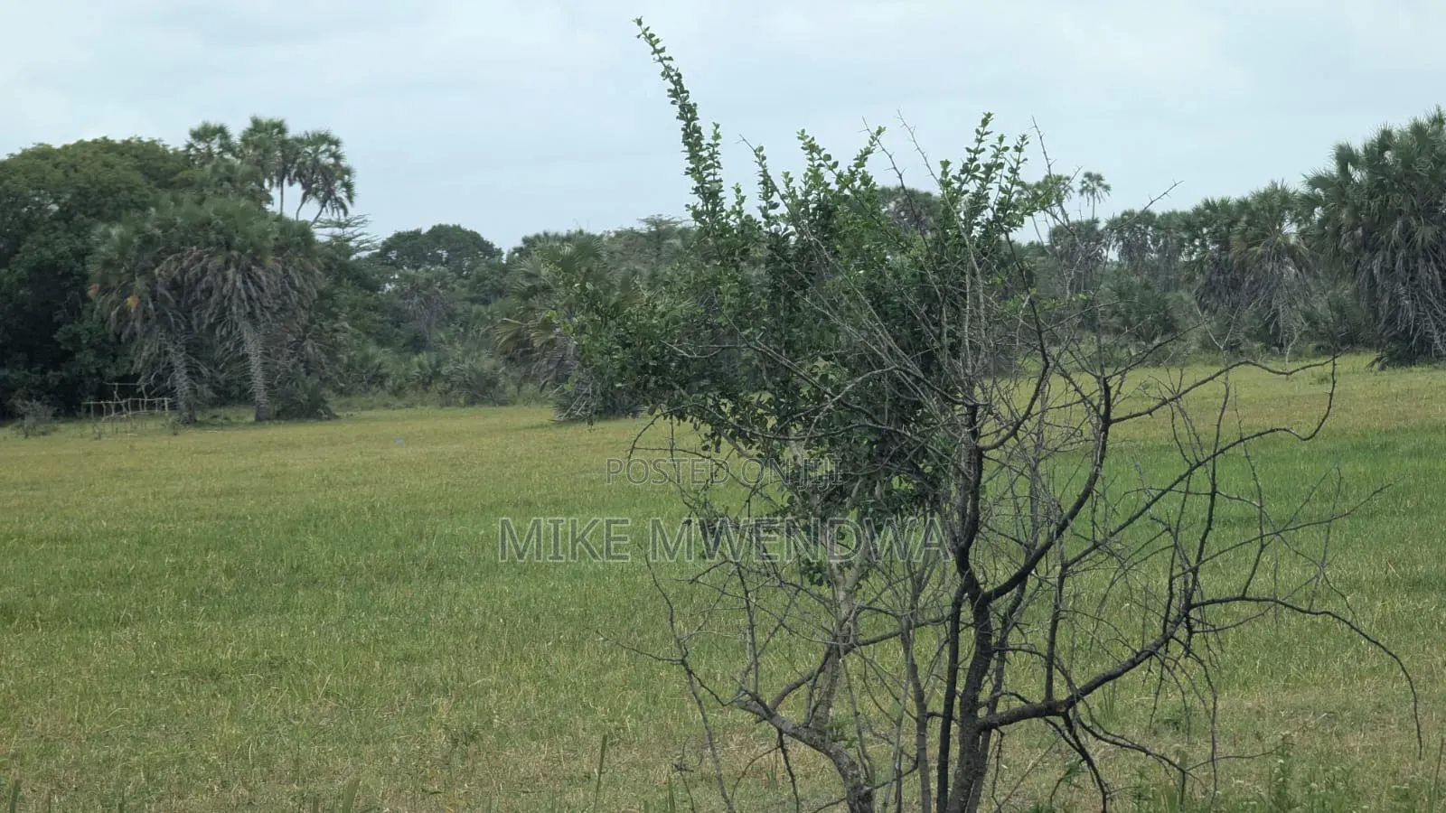 Land and Plots in Witu