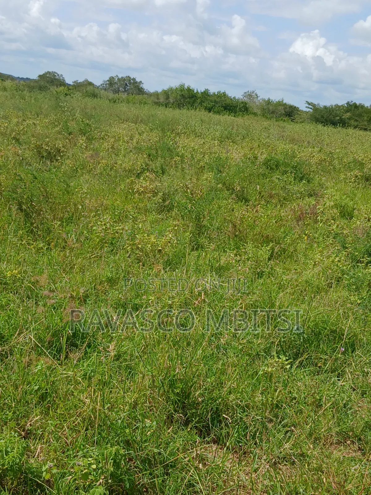 100 Acres Forsale in Malindi Garashi Kanyumbuni . in Marafa