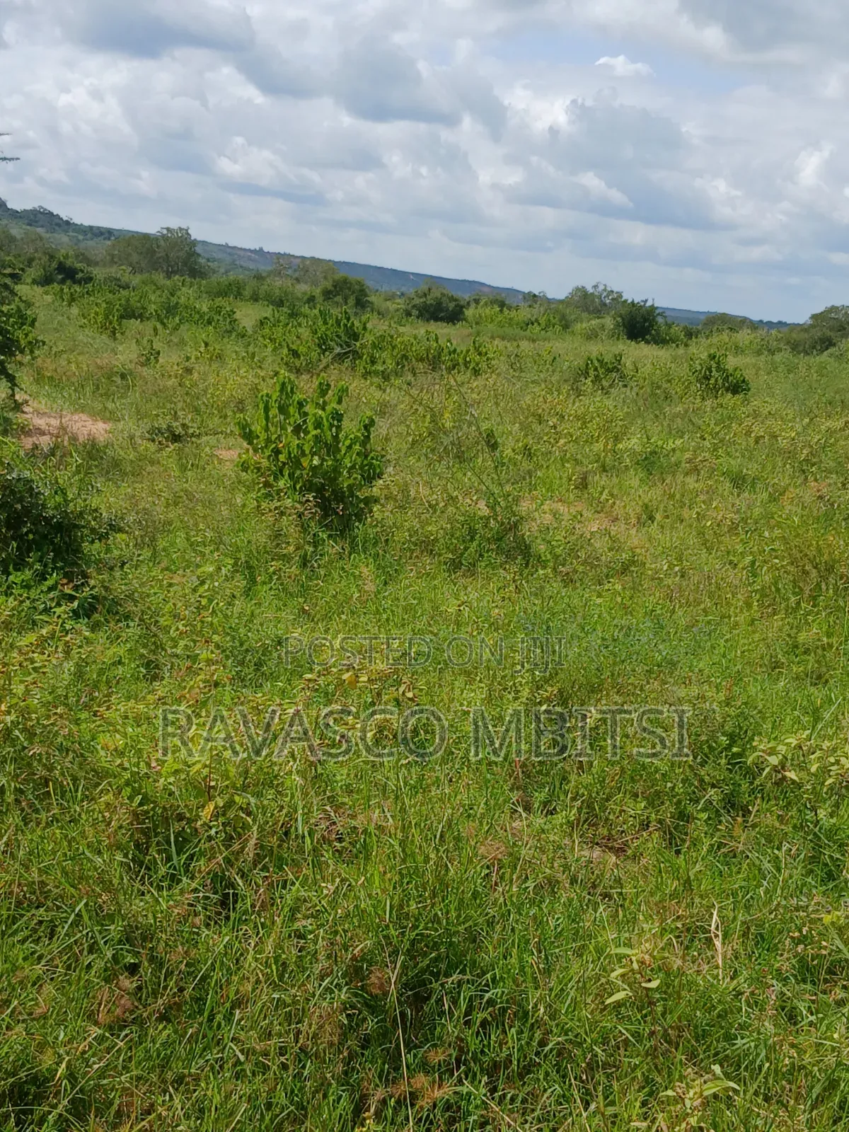 100 Acres Forsale in Malindi Garashi Kanyumbuni . in Marafa