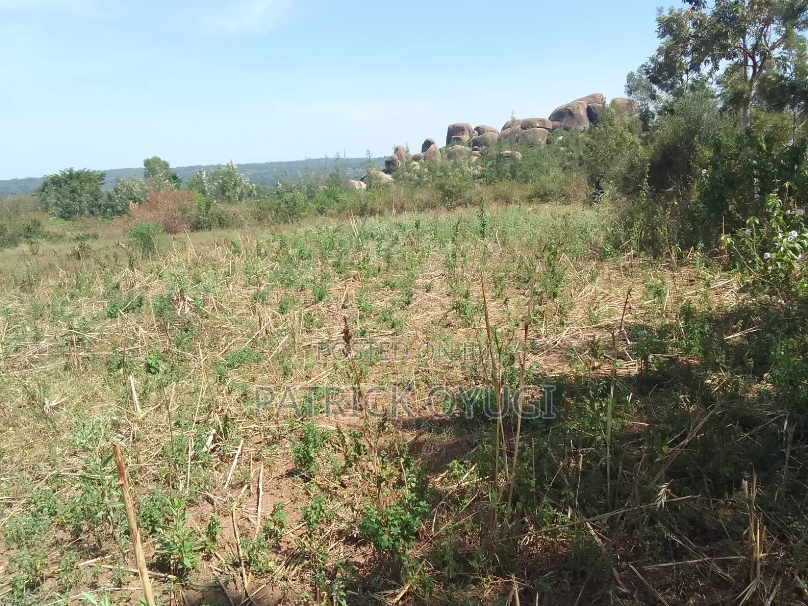 0.2ha for Sale in Kisumu Seme Area Near Yago Market in Central Seme