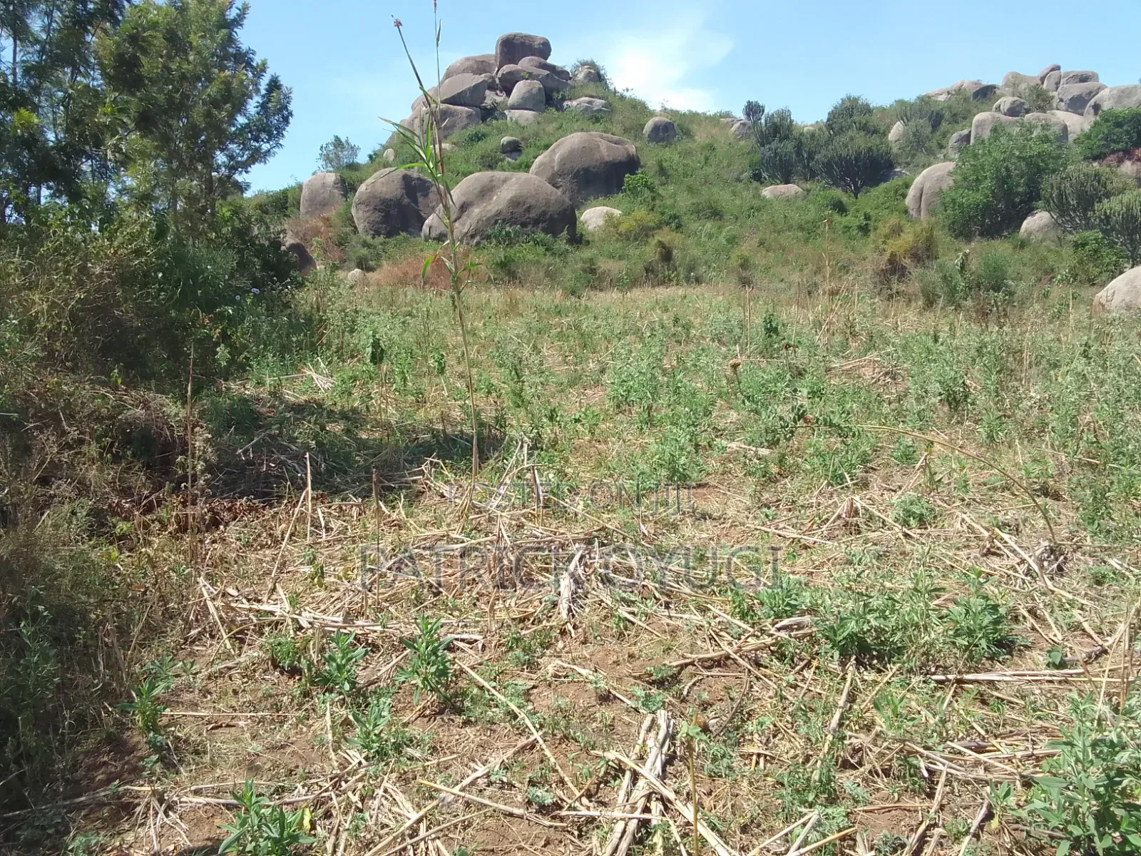 0.2ha for Sale in Kisumu Seme Area Near Yago Market in Central Seme