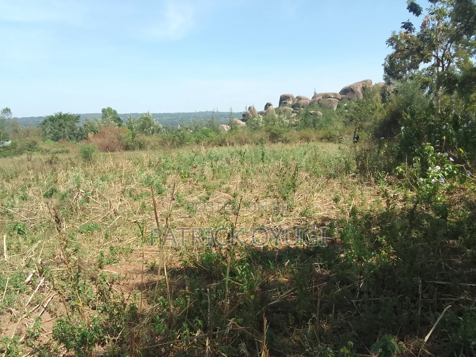 0.2ha for Sale in Kisumu Seme Area Near Yago Market in Central Seme