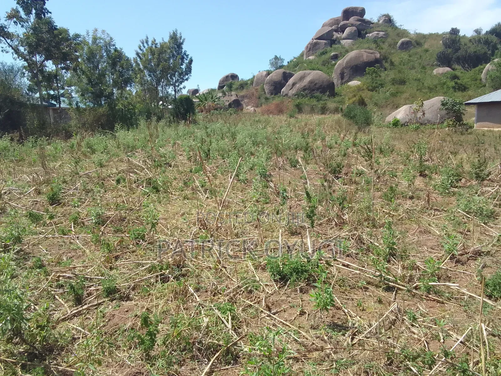 0.2ha for Sale in Kisumu Seme Area Near Yago Market in Central Seme