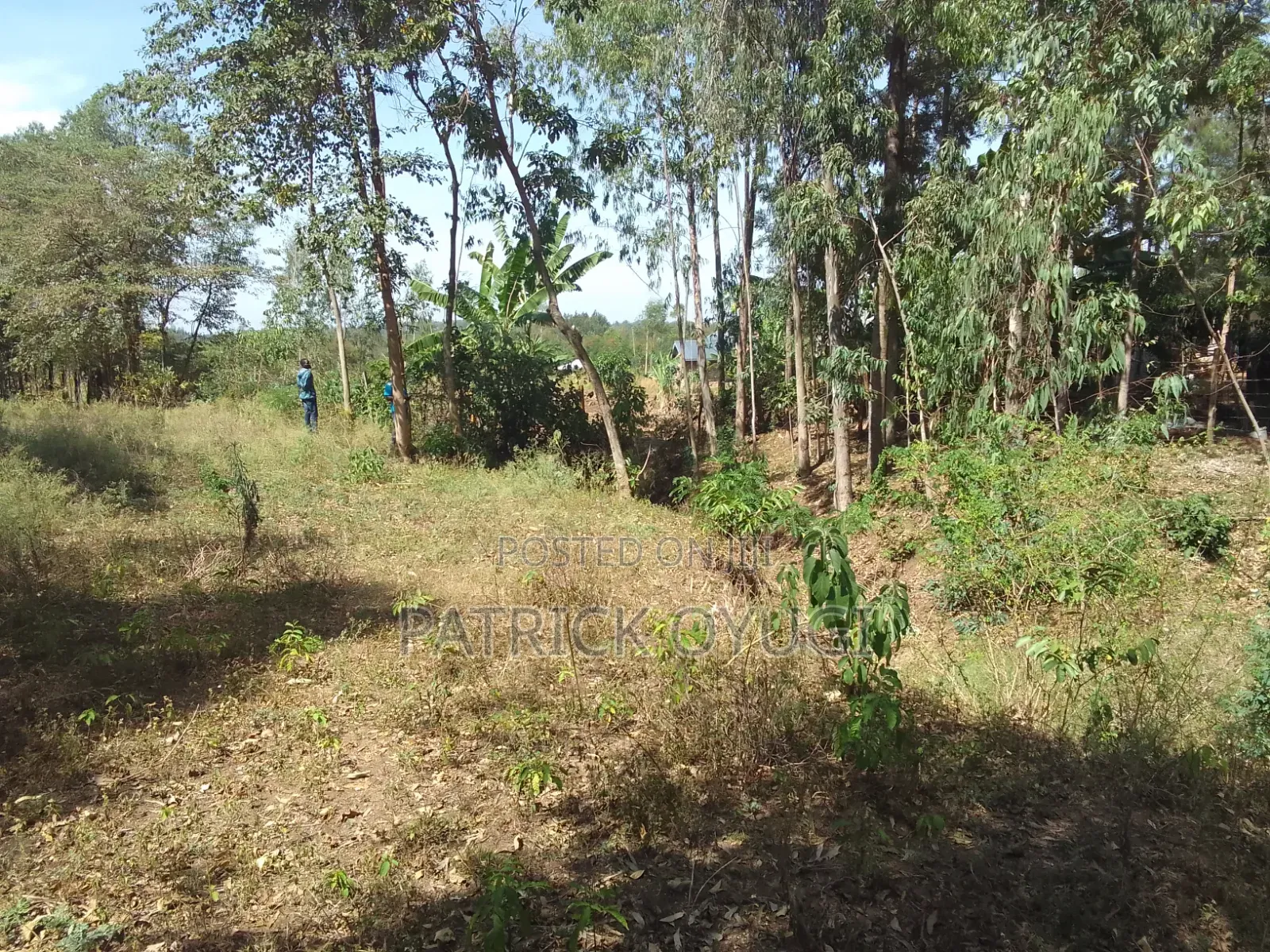 0.3ha for Sale in Kisumu Seme Near Holo Market in Central Seme