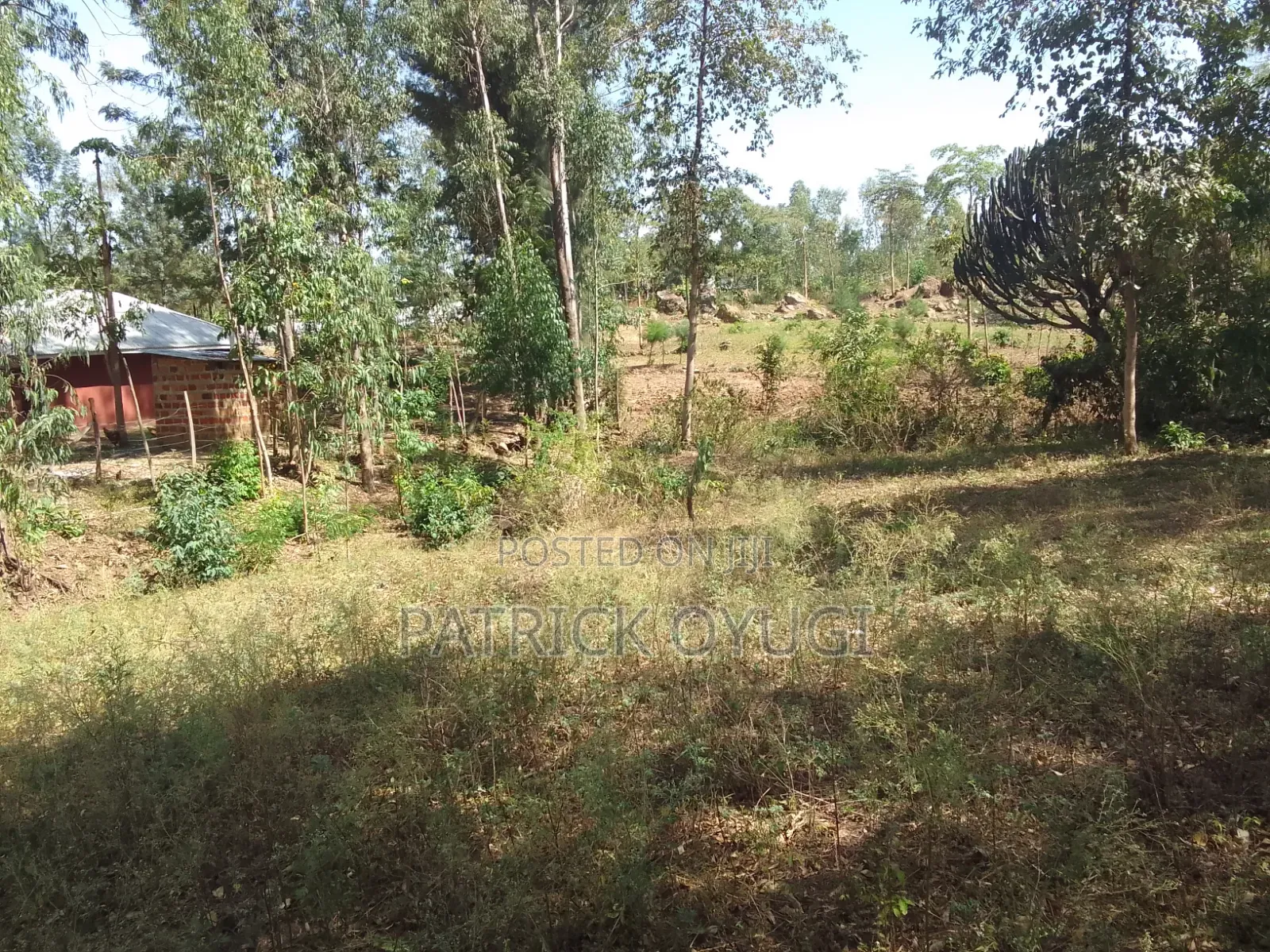 0.3ha for Sale in Kisumu Seme Near Holo Market in Central Seme