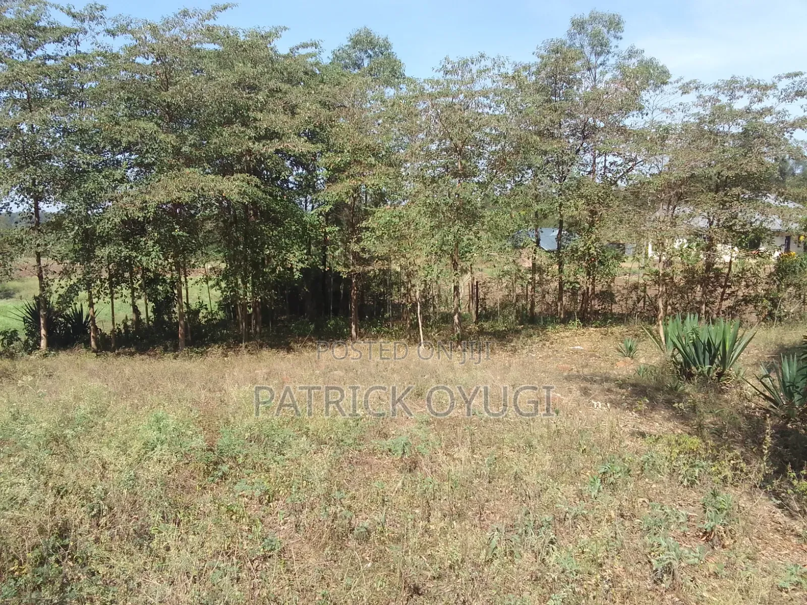 0.3ha for Sale in Kisumu Seme Near Holo Market in Central Seme