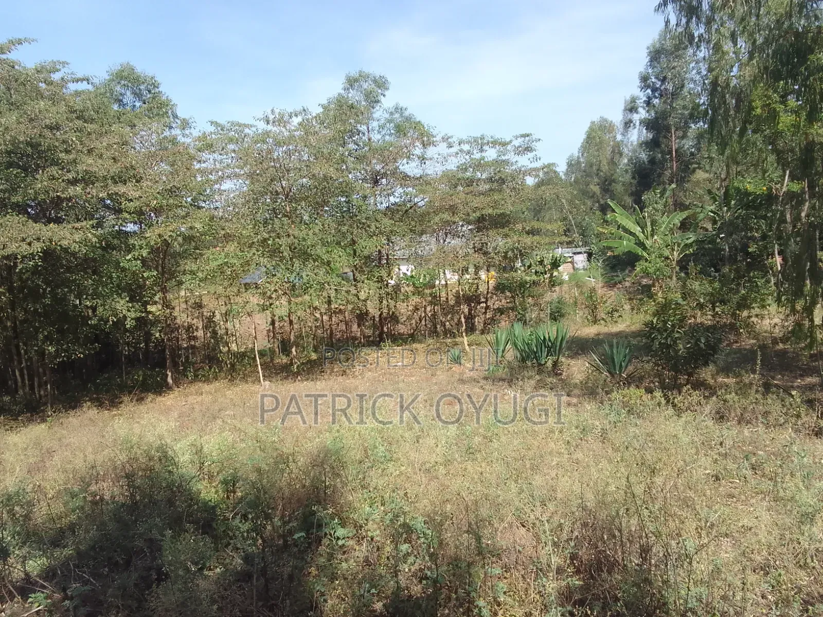0.3ha for Sale in Kisumu Seme Near Holo Market in Central Seme