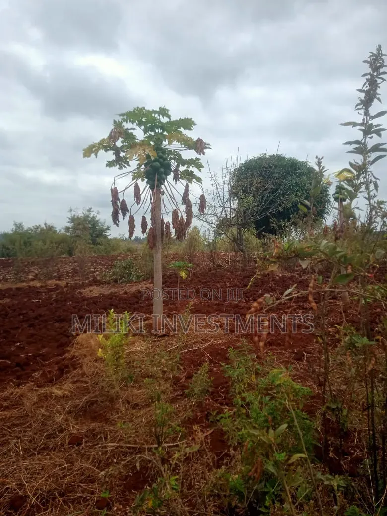2.6 Acres on Sale at Murang'a -Maragua in Nginda