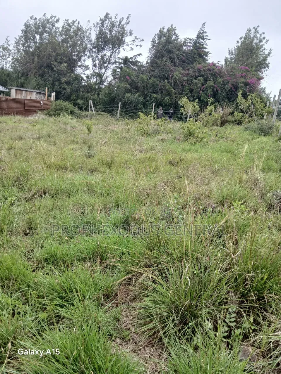 50x100 Plots for Sale – Rangau, Ongata Rongai in Kandisi