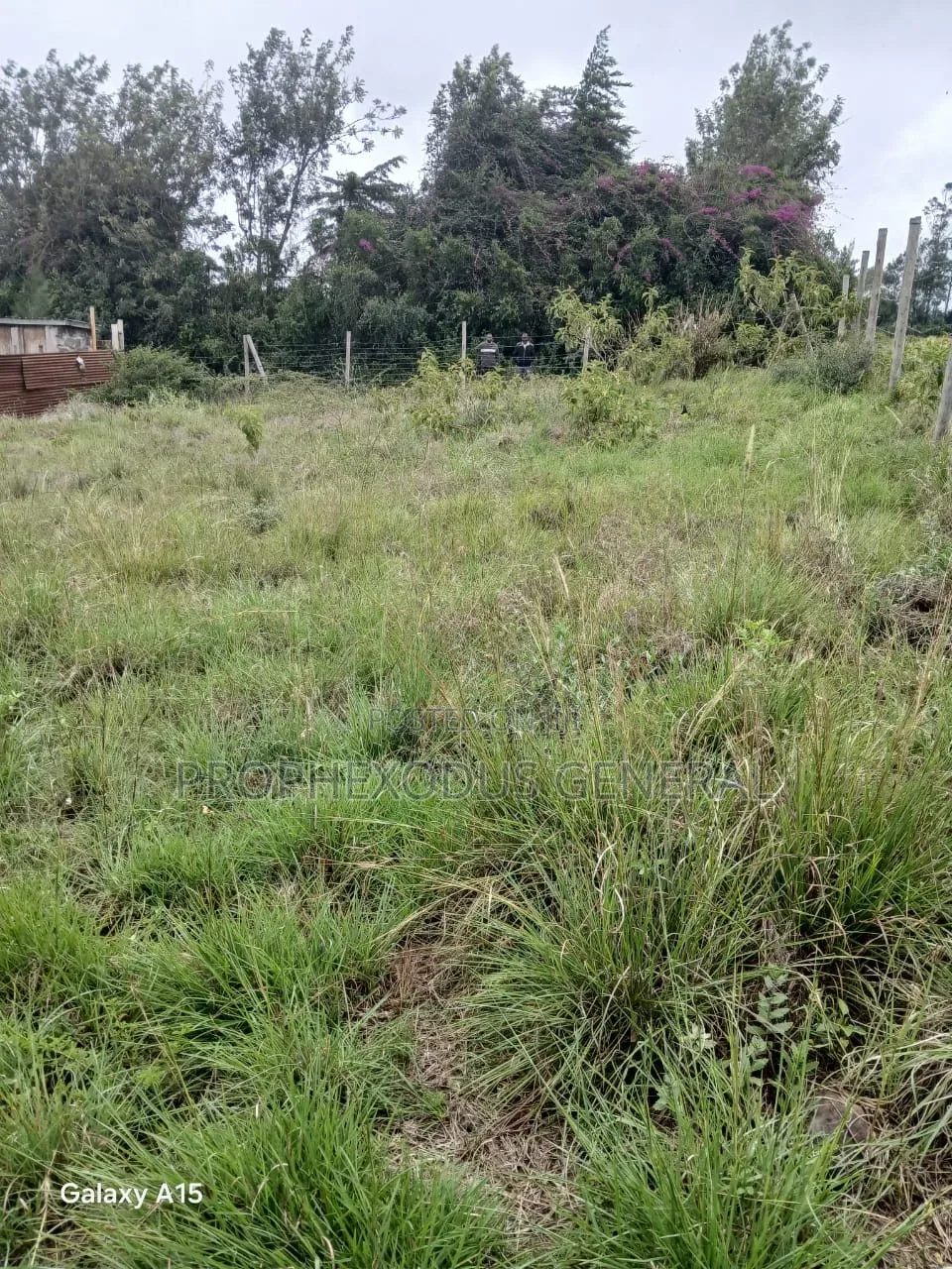 50x100 Plots for Sale – Rangau, Ongata Rongai in Kandisi