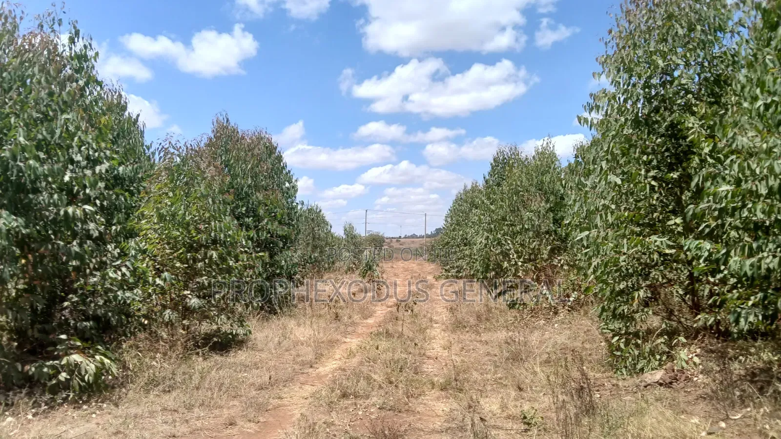 5 Acres for Sale lnTuala Near Rockfied Academy. in Oloosirkon/Sholinke