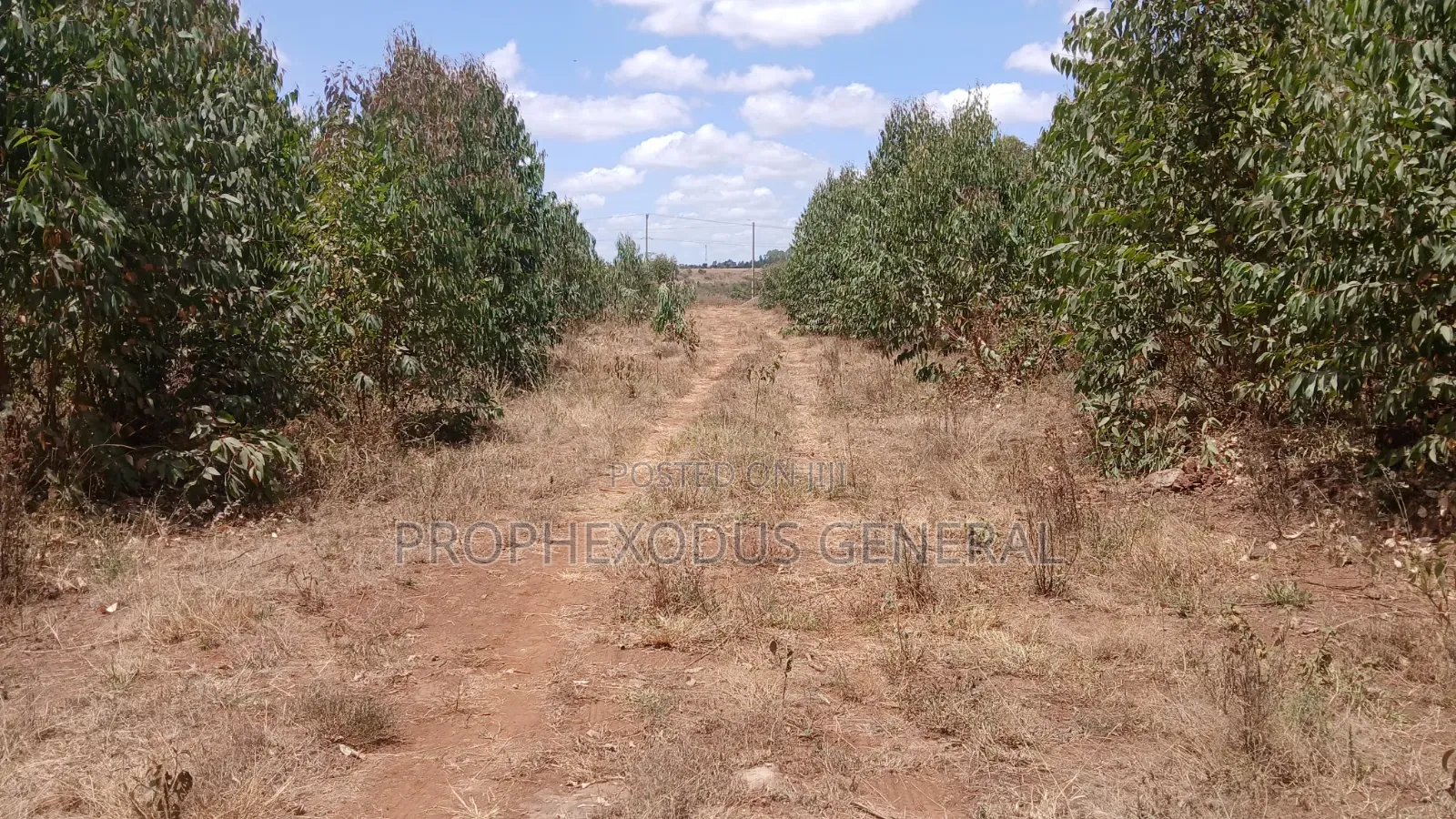 5 Acres for Sale lnTuala Near Rockfied Academy. in Oloosirkon/Sholinke