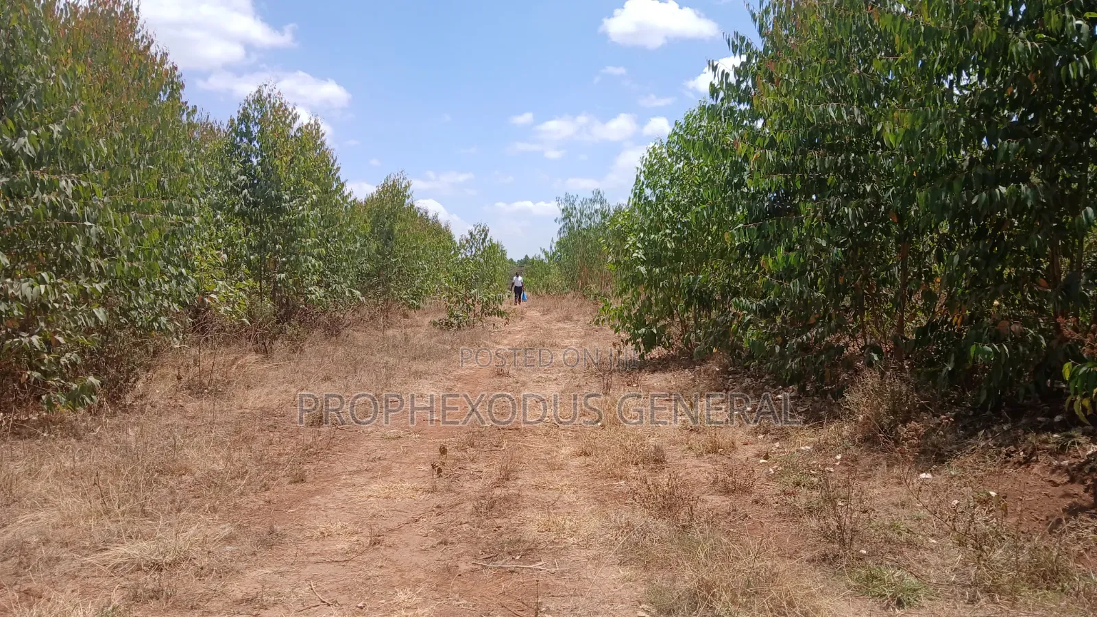 5 Acres for Sale lnTuala Near Rockfied Academy. in Oloosirkon/Sholinke