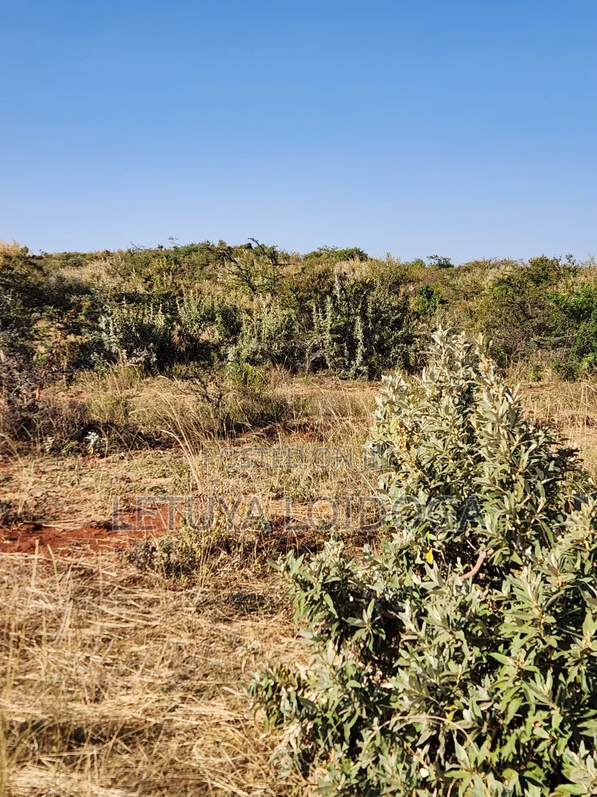 15 Acres on Sale Ngong-Kimuka (Ngong-Suswa Tarmac Road) in Kibiku