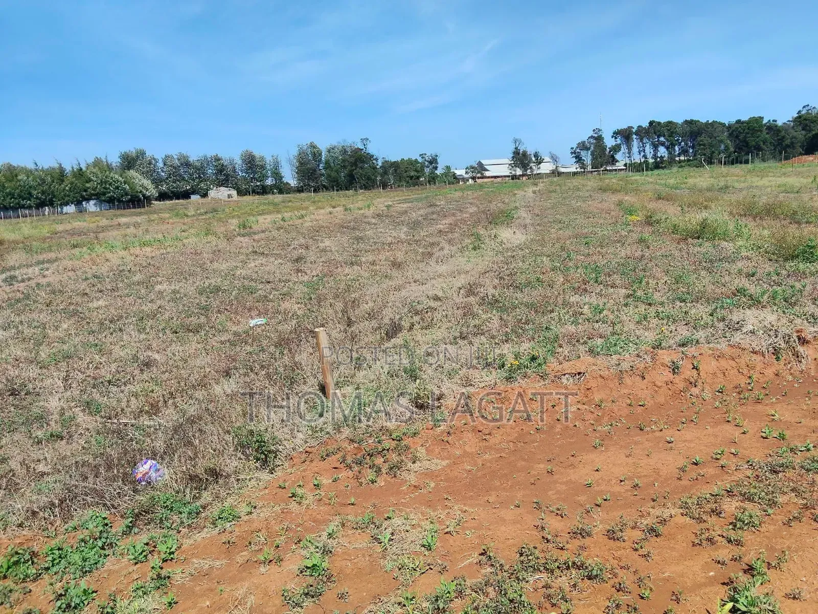 Eldoret Chepkanga Chemaluk Plots on Sale in Kimumu