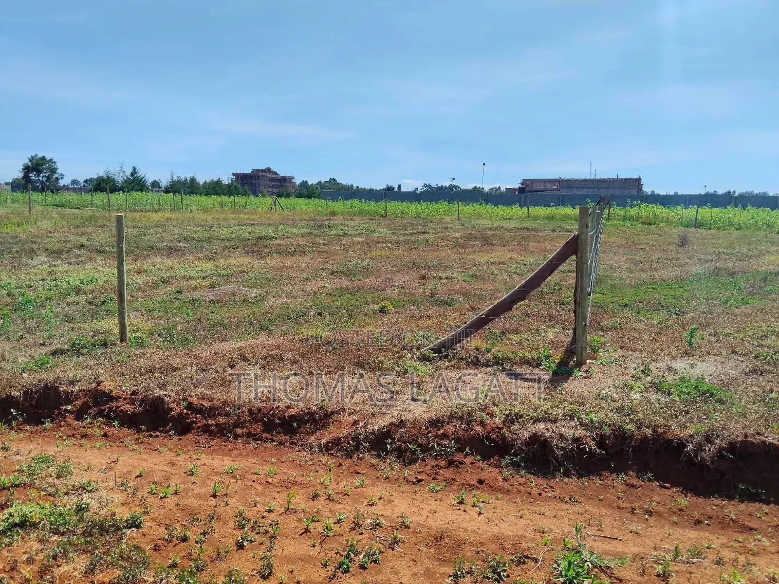 Eldoret Chepkanga Chemaluk Plots on Sale in Kimumu