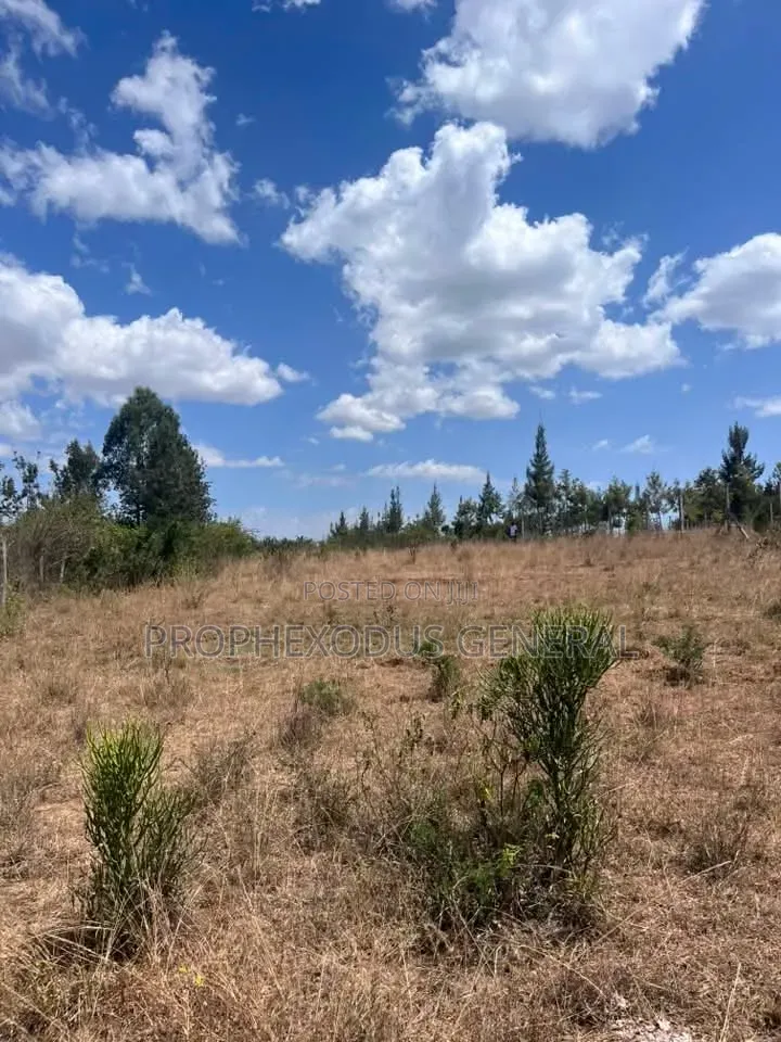 50×100 Residential Plots for Sale in NGONG Matasia in Matasia