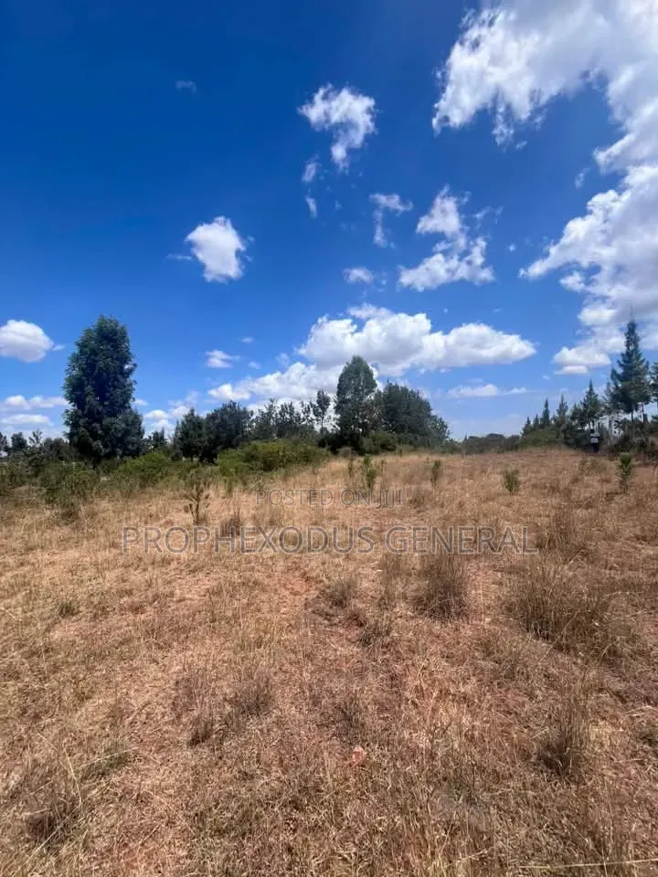 50×100 Residential Plots for Sale in NGONG Matasia in Matasia