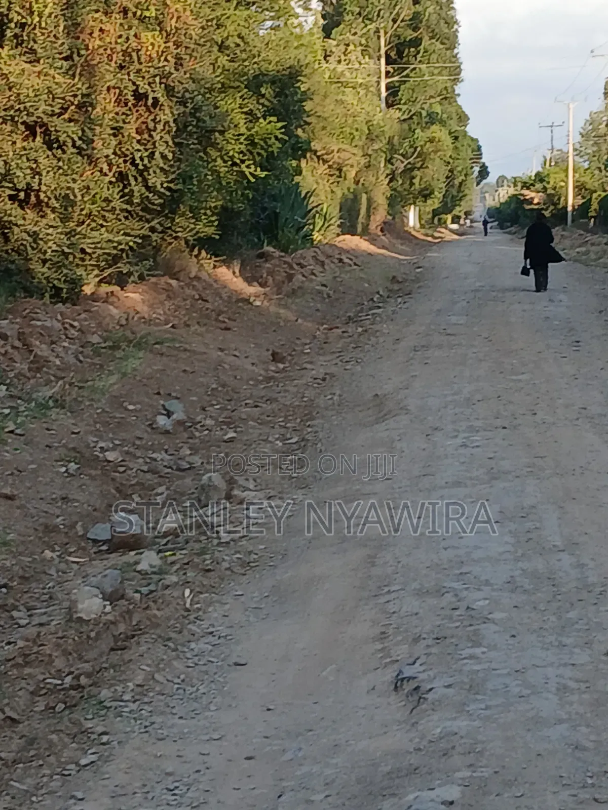 Half Acrea Nanyuki for Sale in Nanyuki
