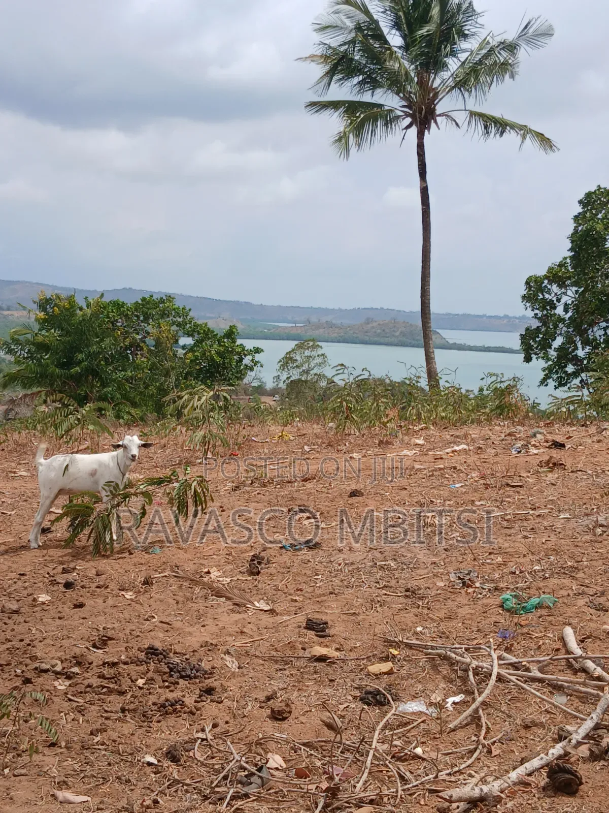 50 Acres Forsale in Kilifi Near to Mandarin Beach Resort in Kilifi Town