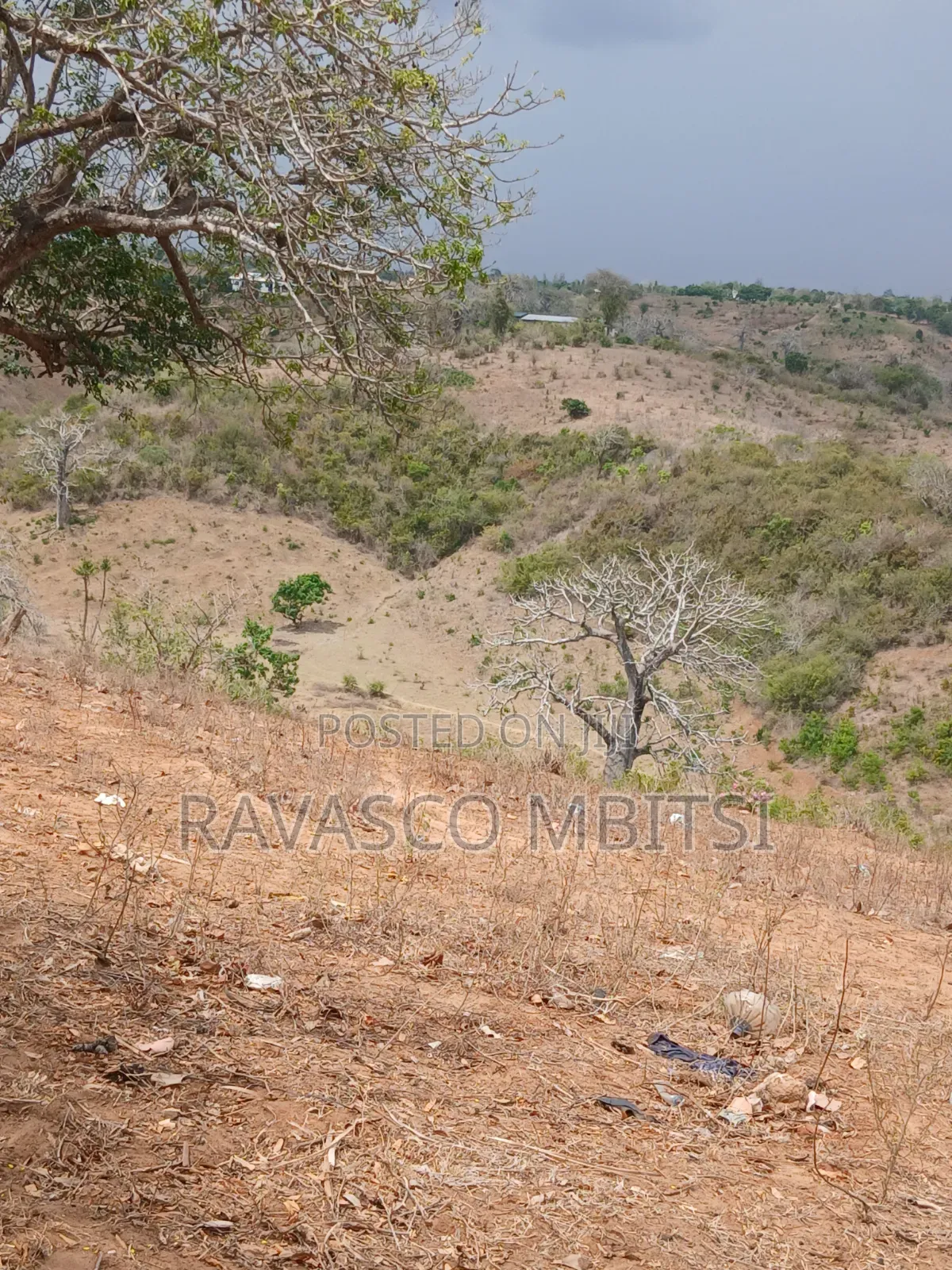 50 Acres Forsale in Kilifi Near to Mandarin Beach Resort in Kilifi Town