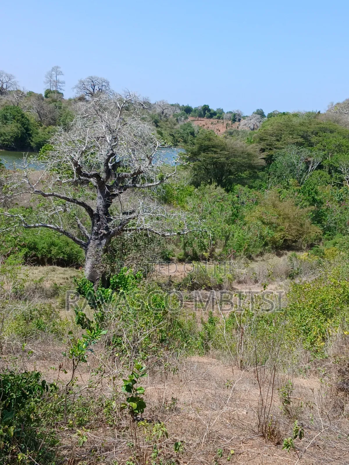 5 Acres Forsale in Kilifi Near to Mavueni Centre. in Kilifi Town