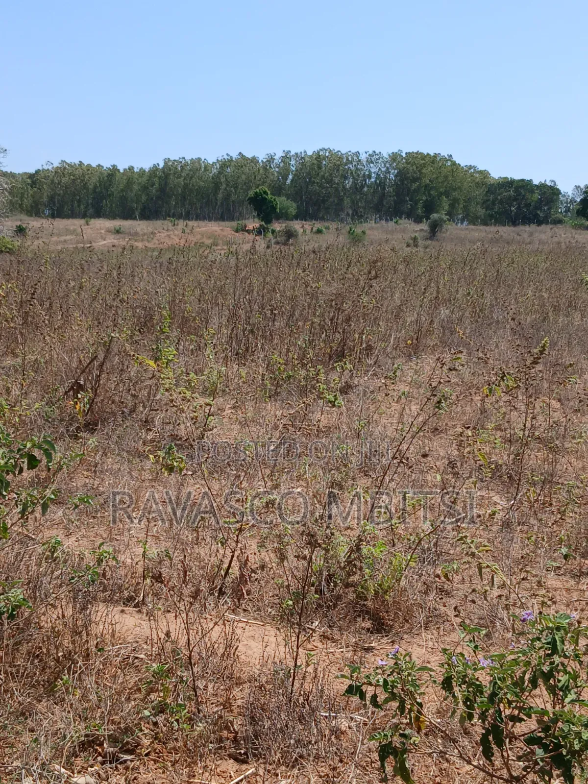 5 Acres Forsale in Kilifi Near to Mavueni Centre. in Kilifi Town