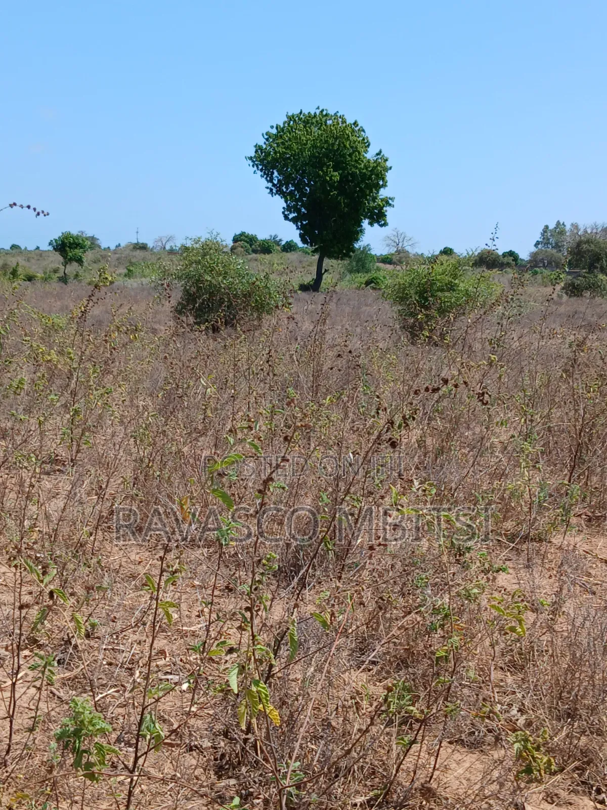 5 Acres Forsale in Kilifi Near to Mavueni Centre. in Kilifi Town