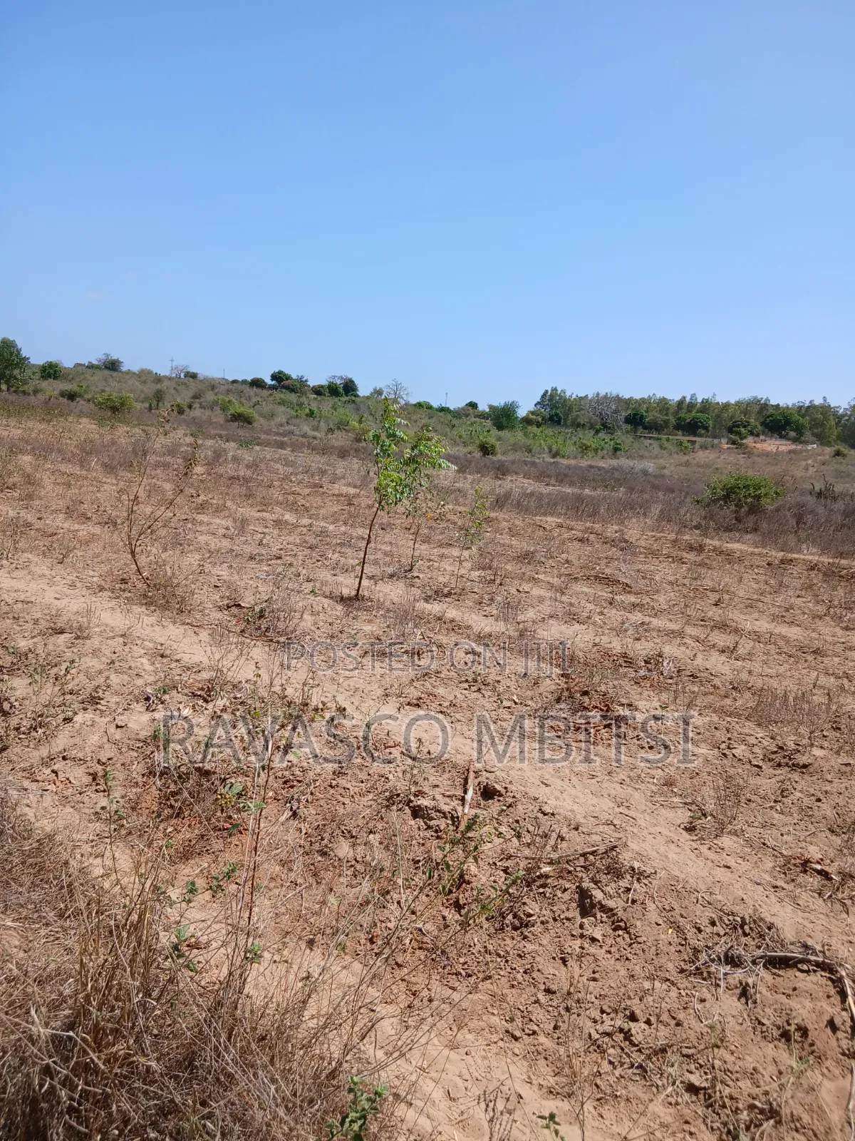5 Acres Forsale in Kilifi Near to Mavueni Centre. in Kilifi Town
