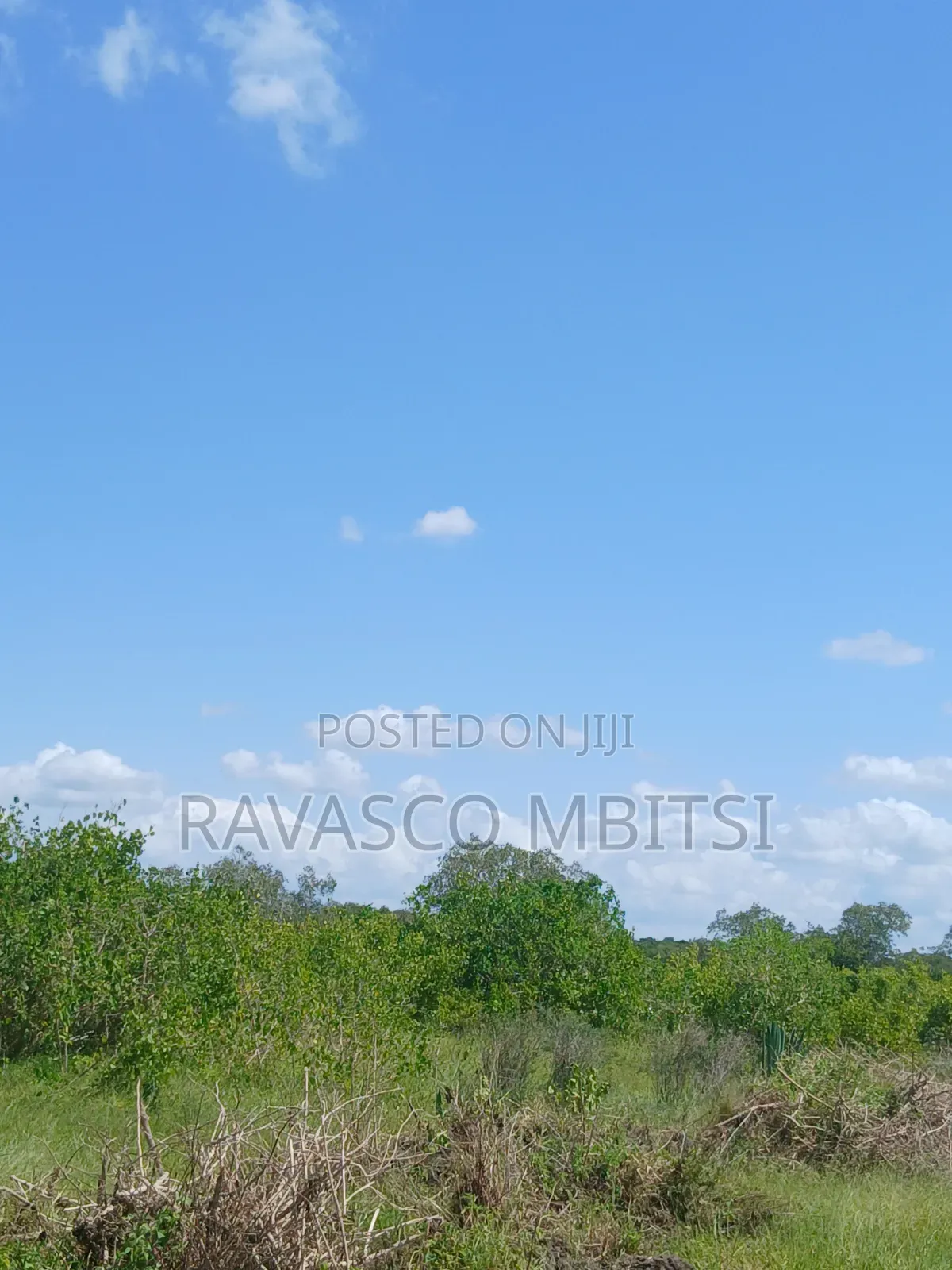 30 Acres Forsale in Malindi Jay's Near to Tangini Primary School. in Marafa