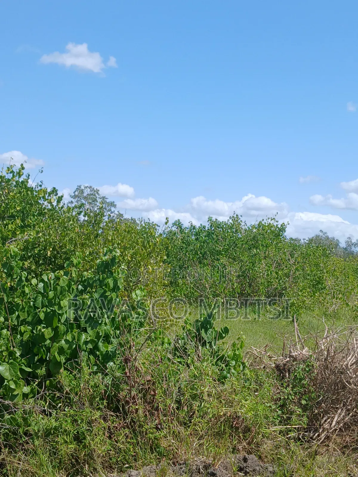 30 Acres Forsale in Malindi Jay's Near to Tangini Primary School. in Marafa